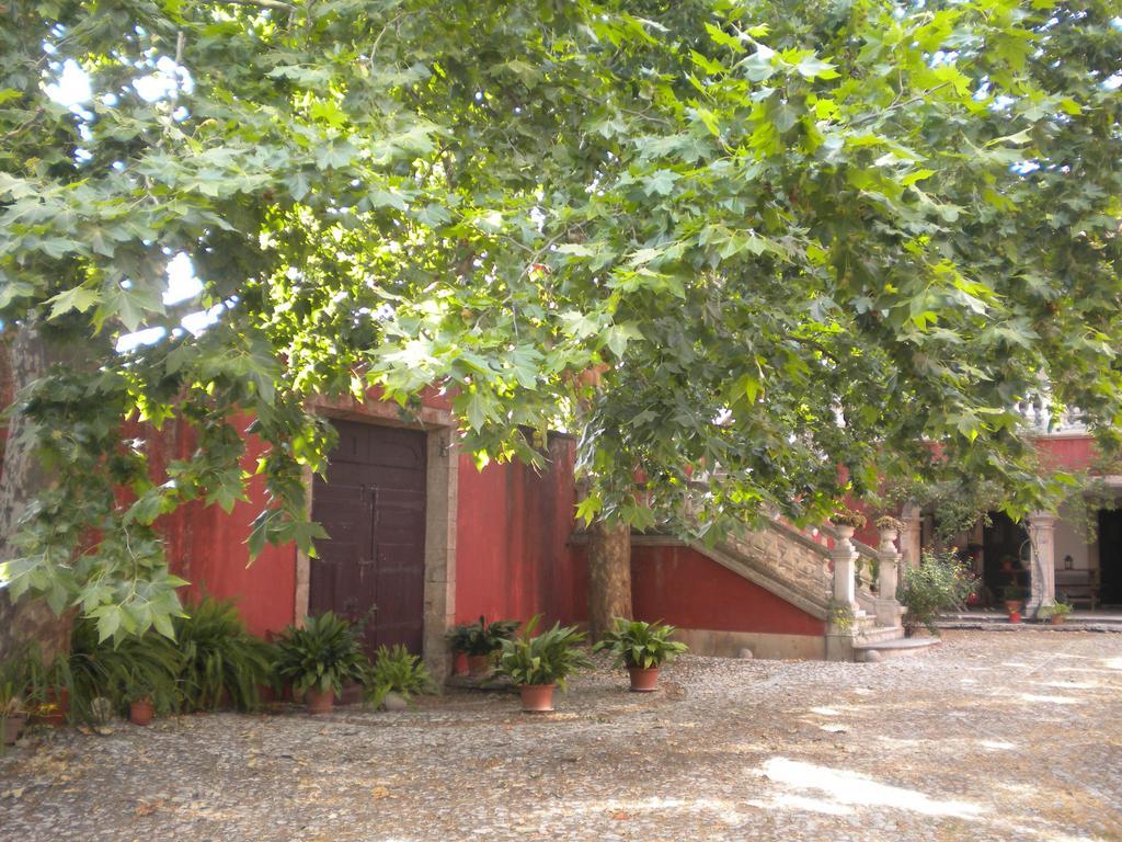 Casa Dos Vargos Bed & Breakfast Torres Novas Bagian luar foto